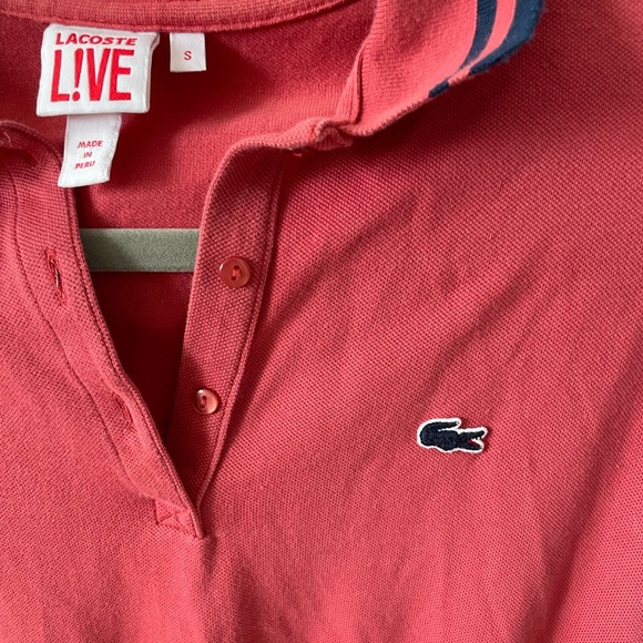 LACOSTE LIVE COTTON DRESS - SMALL - Picture 4 of 10